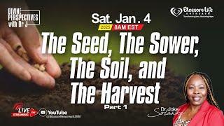 The Seed, The Sower, The Soil, and The Harvest Part 1 | Dr.Joke Solanke