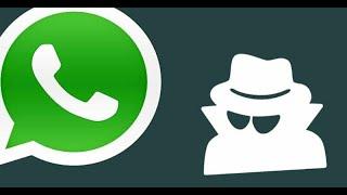 Controllare Un Contatto Whatsapp / Telegram e Ricevere una Notifica Appena Va - Online -