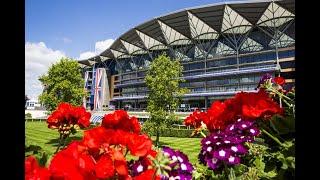 Royal Ascot 2024 Day One Horses to Watch