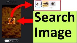 How To Use Google Image Search