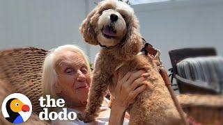 Dog Loves Visiting Her Best Friend In Memory Care Home | The Dodo