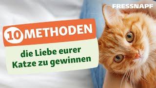 So gewinnst du die Zuneigung deiner Katze | Verhalten | FRESSNAPF