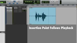 ANNOYING Pro Tools behavior and how to fix it.