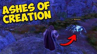 Ashes of Creation NEW MMORPG! Spider Combat!