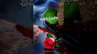 Telugu WhatsApp Status  Telugu Dialogue Status  Telugu WhatsApp Status Videos | Emotional Status