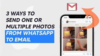 3 Ways to Send Photos from WhatsApp to Email [Android & iPhone]