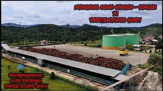 Introduction to Palm Oil Mill