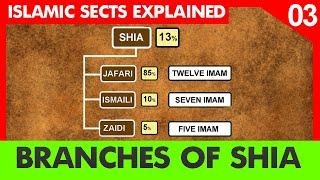 Branches of Shia Islam | Zaidi | Ismaili | Jafari (Twelver) | Episode 3 | Islam sects explained |NSH