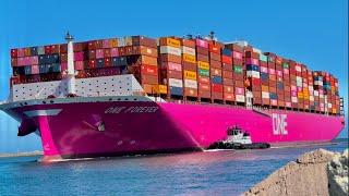 4K SHIPSPOTTING LOS ANGELES LARGE CONTAINER SHIPS - May 2024