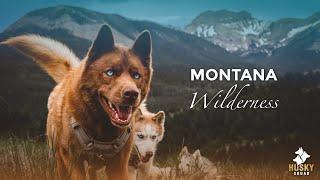The MONTANA No One Sees | A Husky Squad Adventure