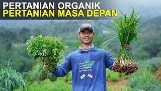 Pertanian Organik, Pertanian Masa Depan