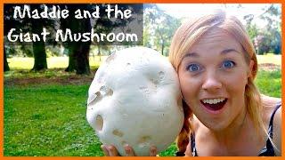 Maddie and the Giant Mushroom! | Maddie Moate