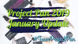 Project Pan 2019 January Update | Year Long Rolling Project Pan