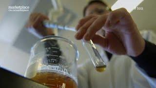 Pesticides in tea: Testing the chemicals in your cup (CBC Marketplace)