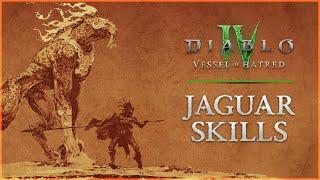 ALL NEW JAGUAR SPIRIT SKILLS - SPIRITBORN | Diablo IV, Vessel of Hatred