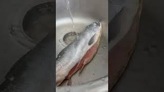Как почистить рыбу от чешуи за пару секунд. О таком вы не слышали!