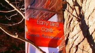 November romance book trailer  --  The Early Bird Cafe by Carrie Aulenbacher