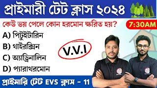 WB Primary TET 2024 EVS Class - 11 | প্রাইমারি টেট ক্লাস | পরিবেশবিদ্যা | PYQs | TWS Academy