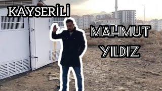 Oyun kuşu Kayseri!! MAHMUT YILDIZ!