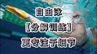 自由泳「分解训练」更专注细节学好自由泳｜GoSwim