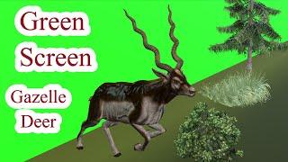 Green Screen Gazelle   Deer all animations walk , Run , Sprint , death