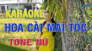 KARAOKE Hoa Cài Mái Tóc Tone Nữ Nhạc Sống | DINHTAN MEDIA