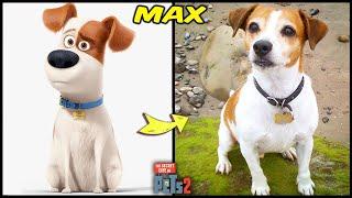 The Secret Life of Pets 2 Characters In Real Life And Other Favorites! | Max, Gidget, Chloe & Others