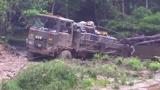 Guyana rainforest and trails