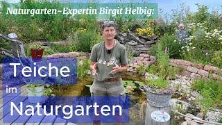 Mache mit! Naturgarten-Expertin Birgit Helbig: Teiche im Naturgarten