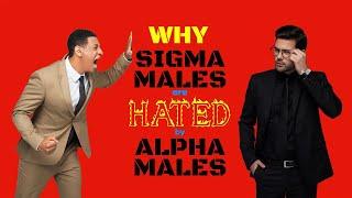 Why Alpha Males Hate Sigma Males So Much | Sigma Male vs Alpha Male