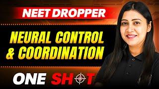 Neural Control & Coordination IN ONE SHOT || Full Concepts & PYQ || Zoology - NEET Dropper