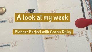 Review last week, flip-thru next week before the pen, Planner Perfect, Cocoa Daisy