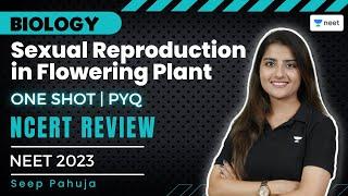 Sexual Reproduction in Flowering Plant - One Shot | NCERT Review | PYQs | Samarth | Seep Pahuja