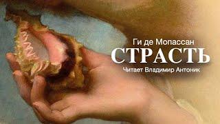 «Страсть». Ги де Мопассан. Аудиокнига. Читает Владимир Антоник