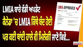 NEW Updates on LMIA | How to take LMIA now