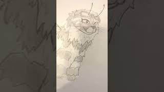 Drawing oc's in warrior cats part 1 #warriorcats #drawing #roblox #bee #warriorcatsart