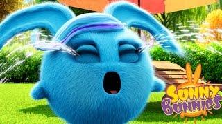 Videos For Kids | Sunny Bunnies SUNNY BUNNIES CRYING BUNNY | Funny Videos For Kids