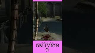 Afraid of the Water Eh? #oblivion #elderscrolls #annoyingfan #that'sthemelodytofunkytown