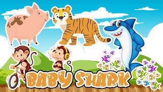 Baby shark | Kids Songs | Nursery Rhymes Songs For Children