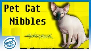 How to Get a Pet Cat: Nibbles - Cyberpunk 2077