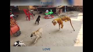 Fake Tiger real Dogs Prank || Shocked this Dog  #tigerfunny#funny#doglover || New Dog Prank 2023