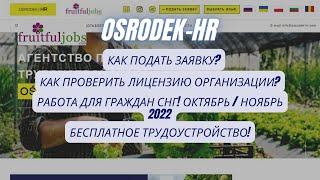 Osrodek hr Fruitfuljobs Работа в Великобритании для граждан СНГ