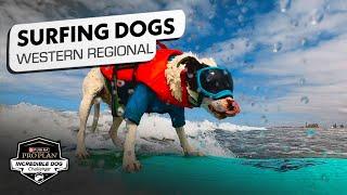 Incredible Dog Challenge: Dog Surfing Western Regional | NBC Sports