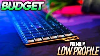 Budget RGB LOW PROFILE Wireless Keyboard Review! (LTC Nimbleback)