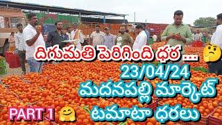 23/04/24 Madanapalle Tomato Market Price Today || Today Tomato Market Rate In Madanapalle #today