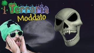  Terraria Moddato in Live! Let's Go!