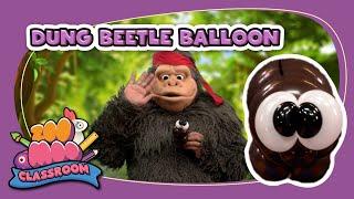 How to make a Dung Beetle | Ninja Pop | Art & Craft for Kids  @ZooMoo