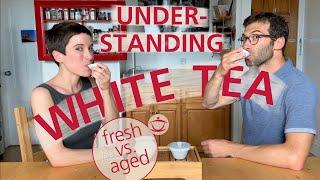 Understanding white tea: Fresh vs. aged white tea | How white tea is made | Water temperature.