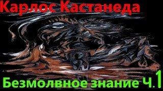 Кастанеда Карлос Безмолвное знание Часть 1