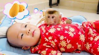 Monkey Pupu and baby Nguyen dream about mango together
